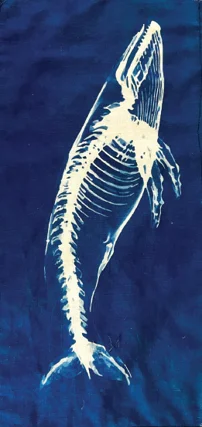 S.O.S - Save our Seas