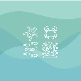 Marine Biodiversity