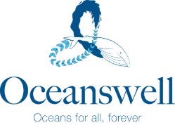 Oceanswell X European Marine Board