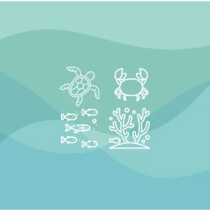 Introduction - Why and how talking about marine biodiversity today?