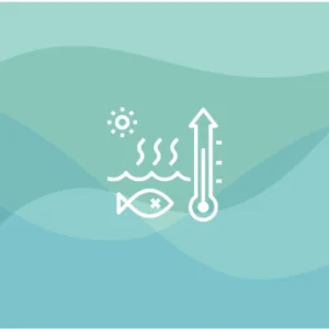 Actions for SDG 14: Solutions